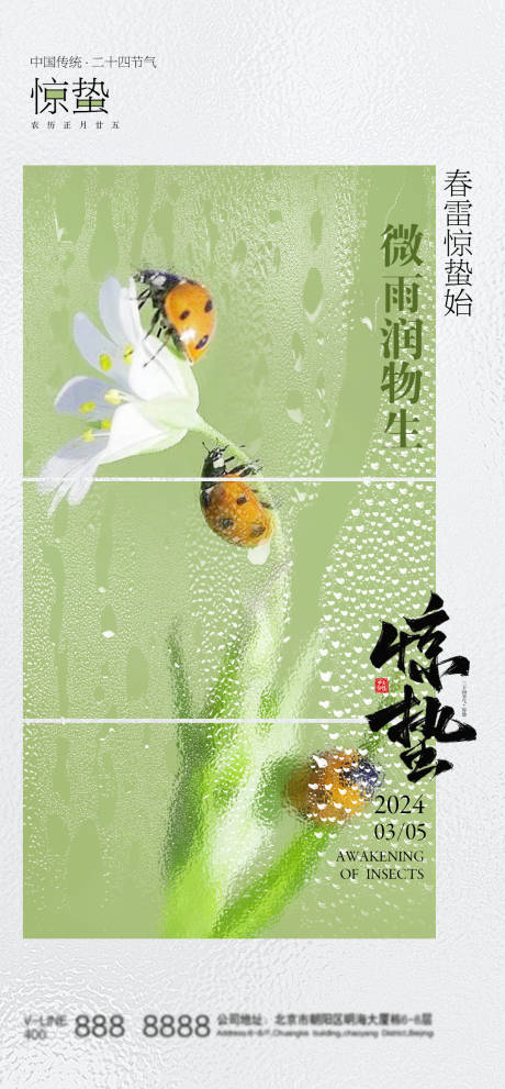 源文件下载【惊蛰海报】编号：79440022045531267