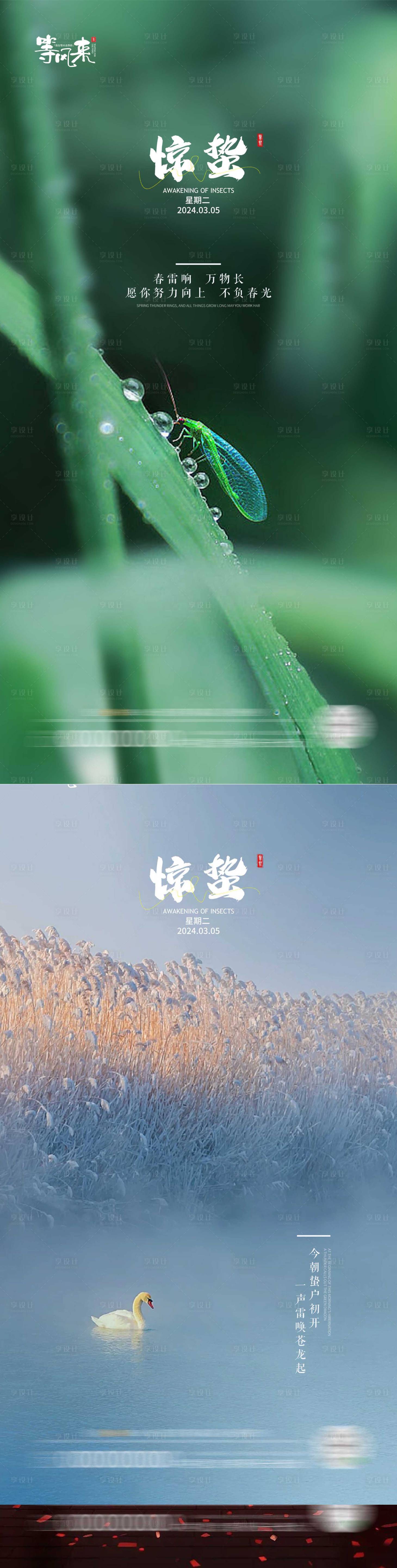 源文件下载【地产惊蛰系列海报】编号：72610022138248761