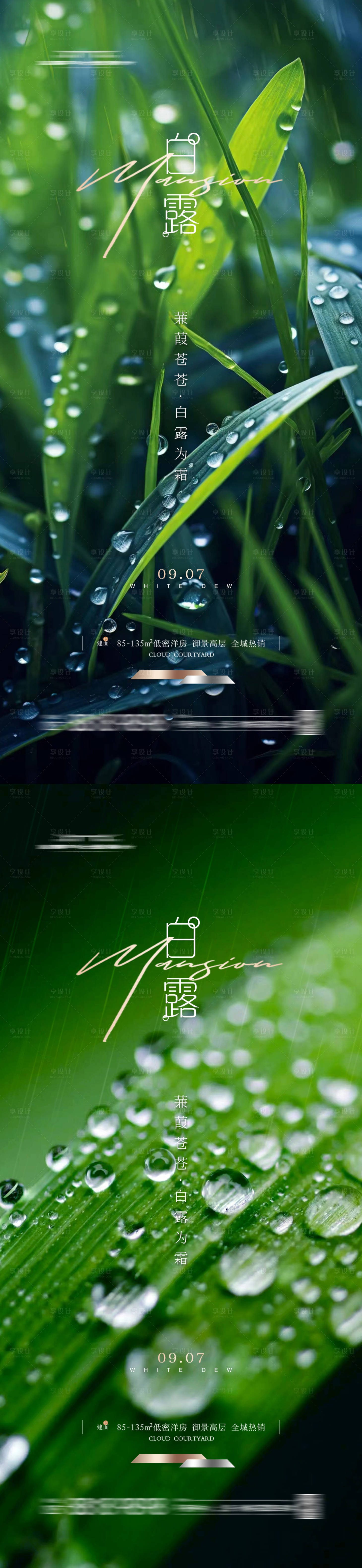 源文件下载【享设计】搜索编号：50140022143866305【白露海报】