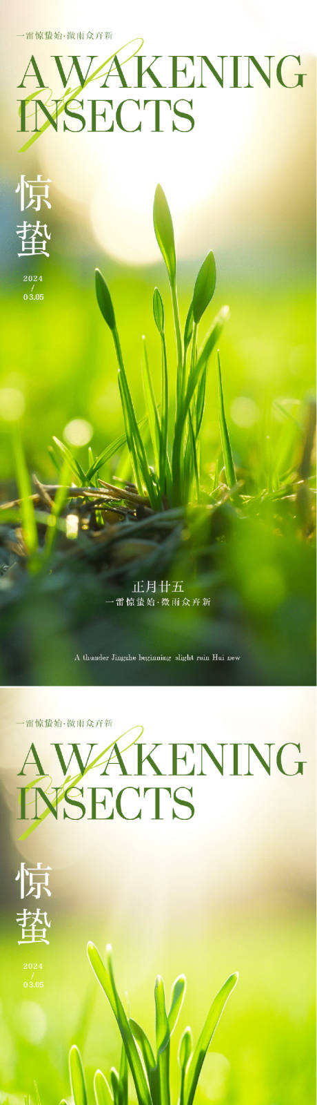 源文件下载【惊蛰海报】编号：15750022028037793