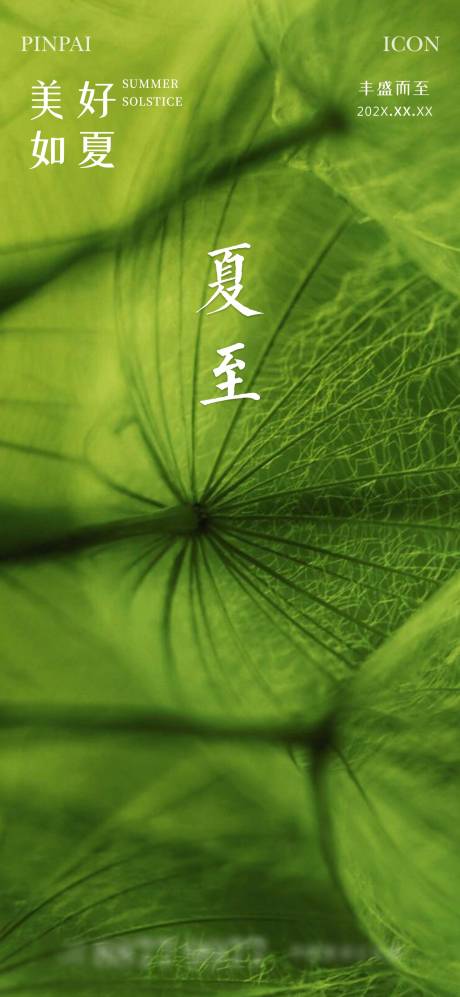 源文件下载【地产夏至节气海报】编号：38220022137692168