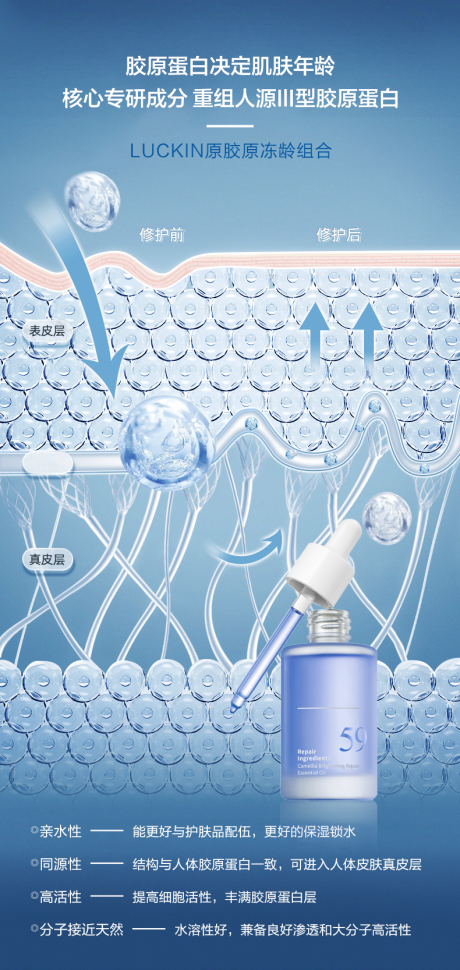 源文件下载【护肤产品成分胶原蛋白活动宣传海报】编号：15670022094272879