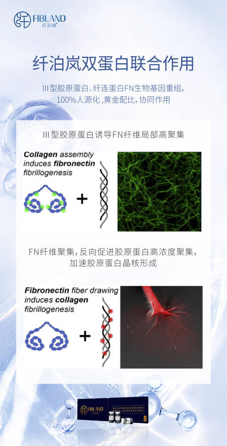 源文件下载【胶原蛋白海报】编号：19040021897633102