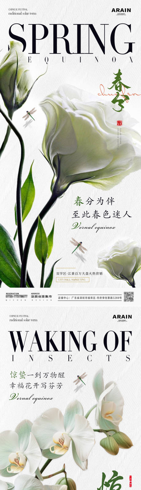 地产惊蛰春分白色玫瑰花海报-源文件【享设计】