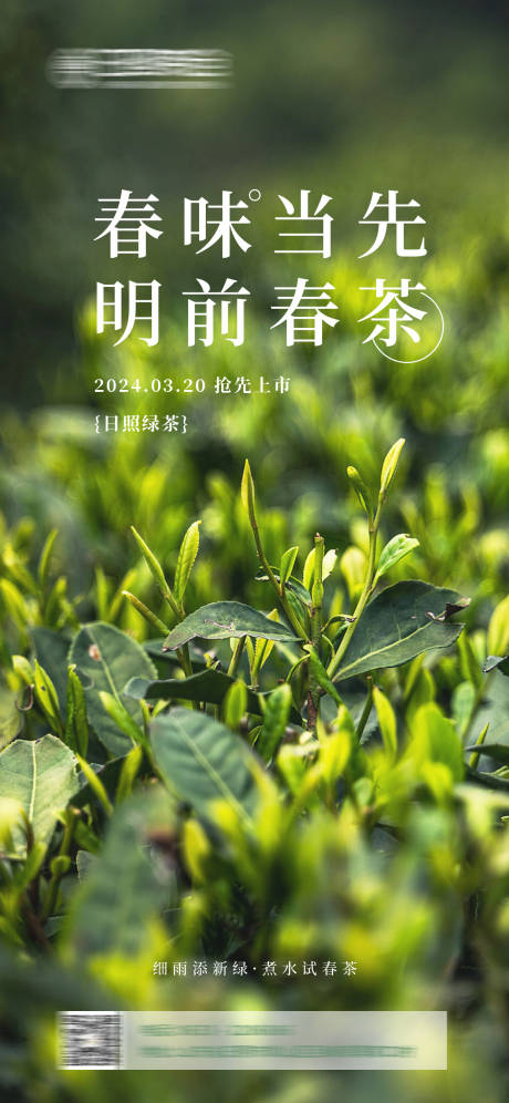 源文件下载【春茶海报】编号：48900022188291787