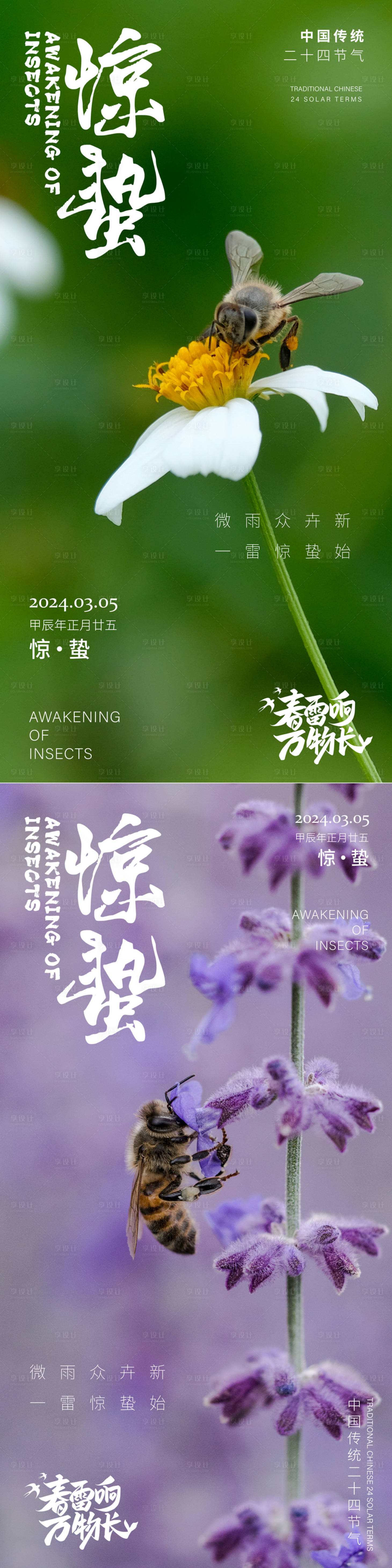 源文件下载【享设计】搜索编号：70910022148285267【惊蛰节气海报】