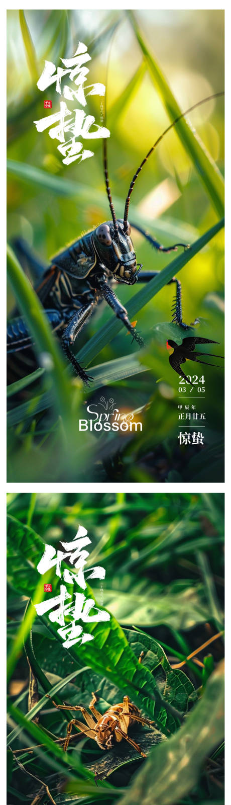 源文件下载【惊蛰海报】编号：38400022033316626
