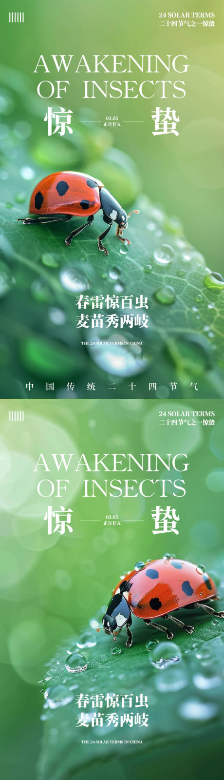 源文件下载【惊蛰节气系列海报】编号：43470022054526245
