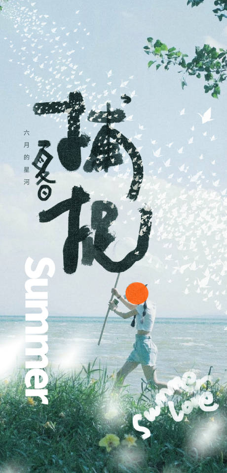 夏日捕捉海报
