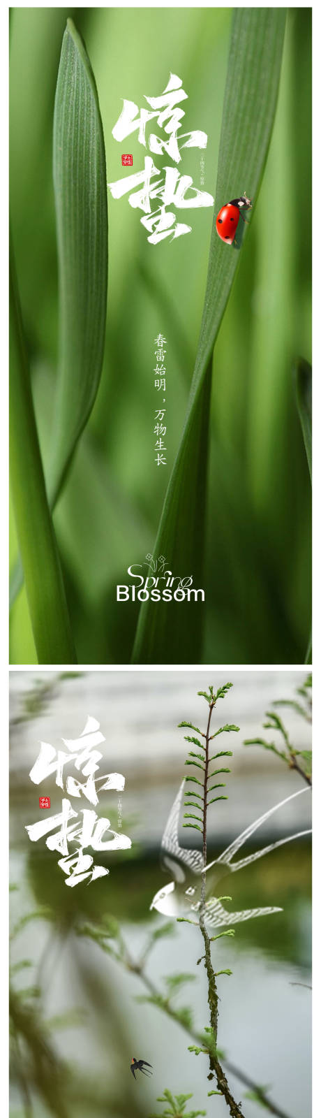 源文件下载【享设计】搜索编号：22770021944314254【惊蛰海报】