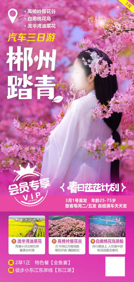 源文件下载【享设计】搜索编号：24590022038938677【踏青赏樱旅游海报】