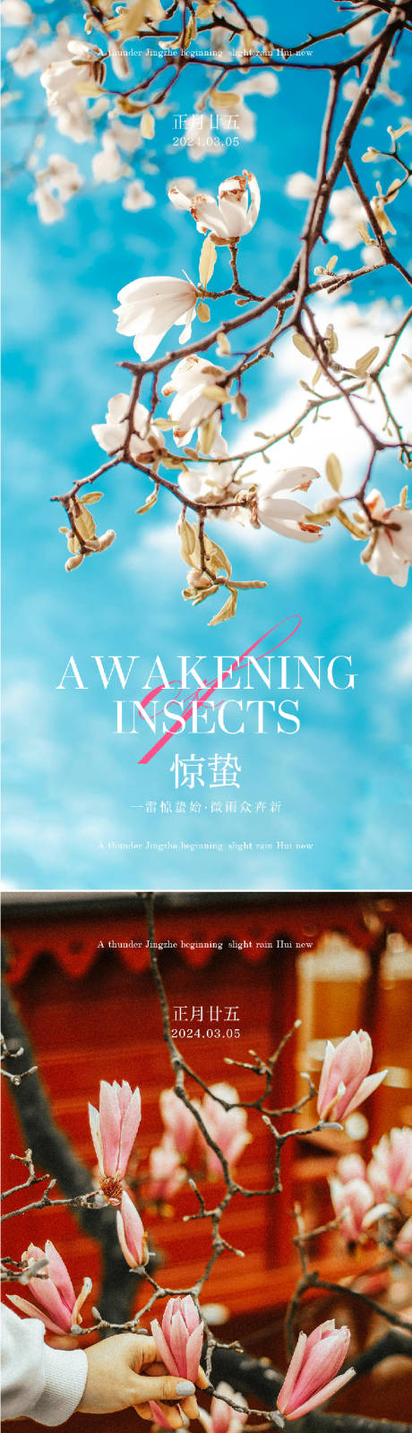 源文件下载【享设计】搜索编号：93560022023934257【惊蛰节气海报】