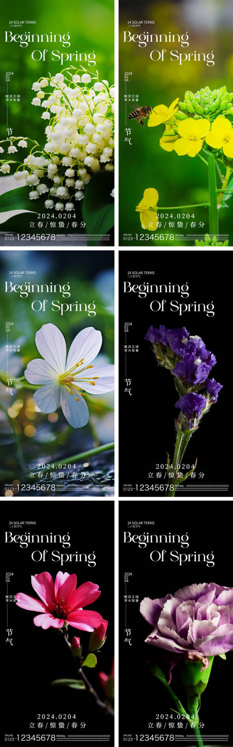 编号：74280021869268168【享设计】源文件下载-立春惊蛰春分节气系列海报