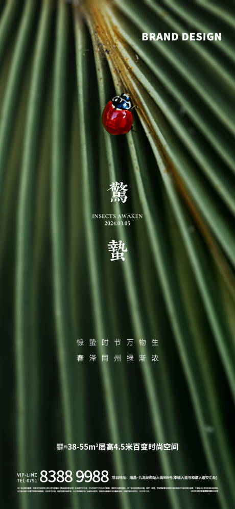 源文件下載【享設計】搜索編號：17220022143921589【驚蟄節氣海報】