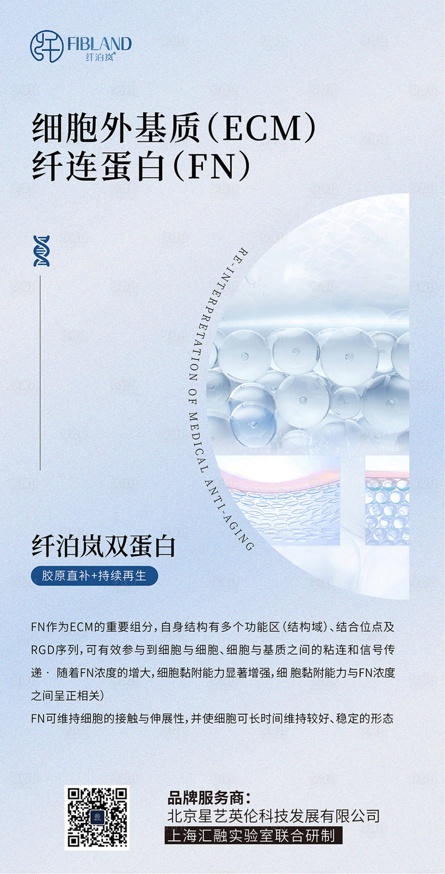 源文件下載【享設計】搜索編號：17780021897616608【膠原蛋白科普】