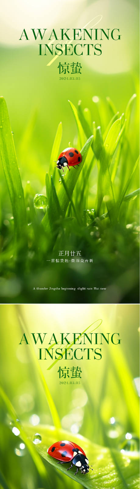 源文件下载【惊蛰节气海报】编号：55400022023923115