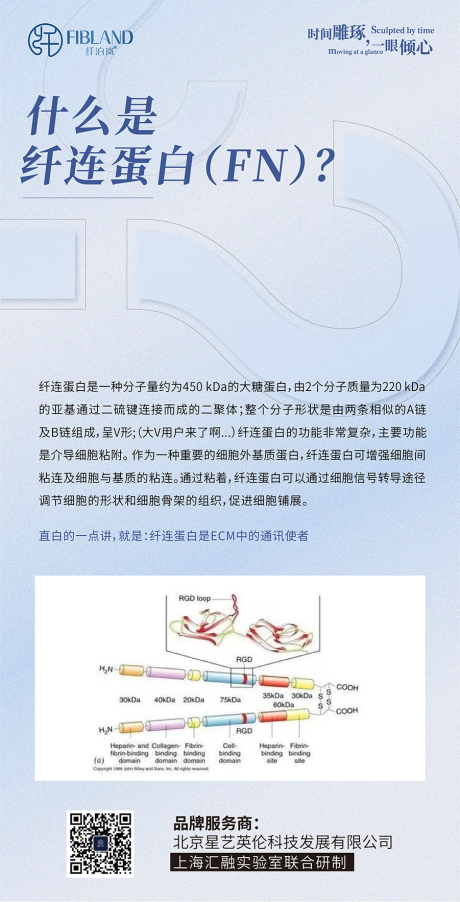 源文件下载【胶原单蛋白科普海报】编号：14370021897601161