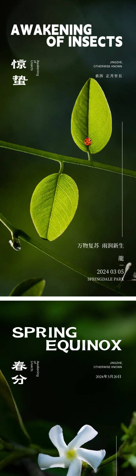 源文件下載【享設計】搜索編號：30810022113138508【驚蟄24節氣海報】