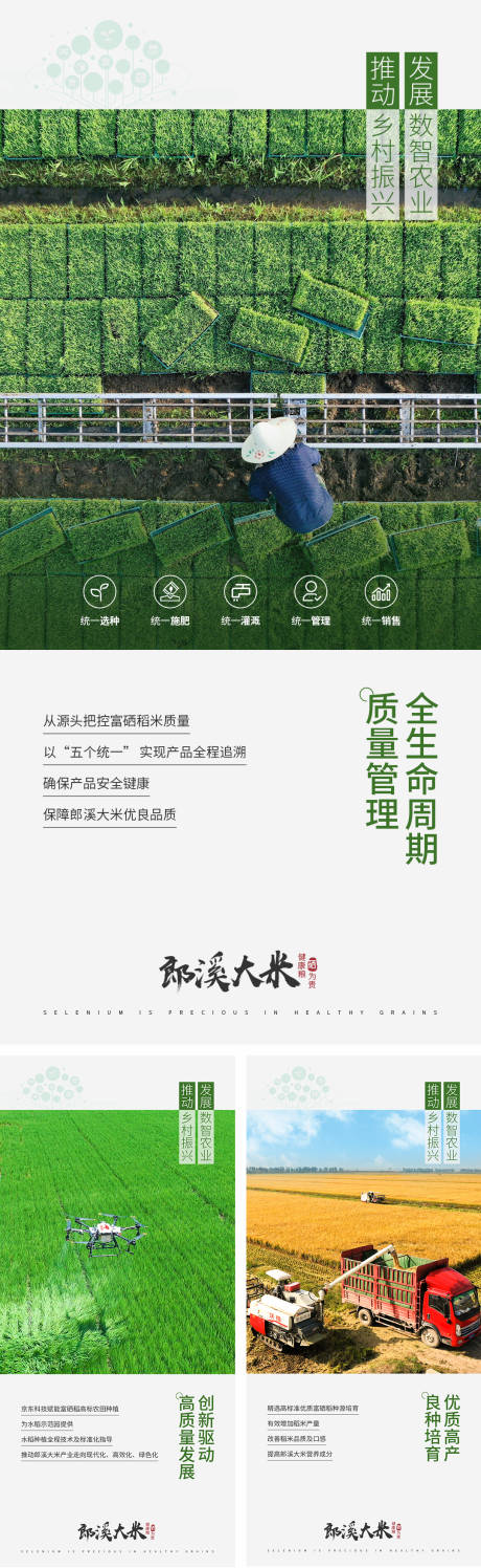 源文件下載【享設計】搜索編號：34970022342132890【農業產品宣傳海報】