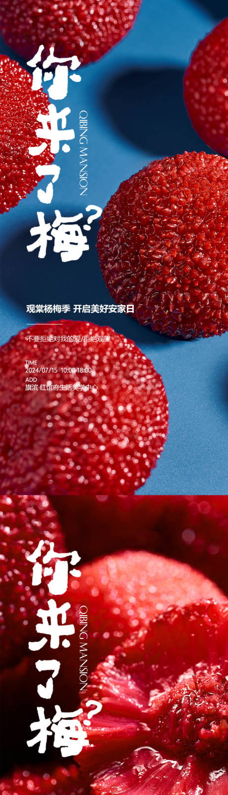 杨梅采摘海报