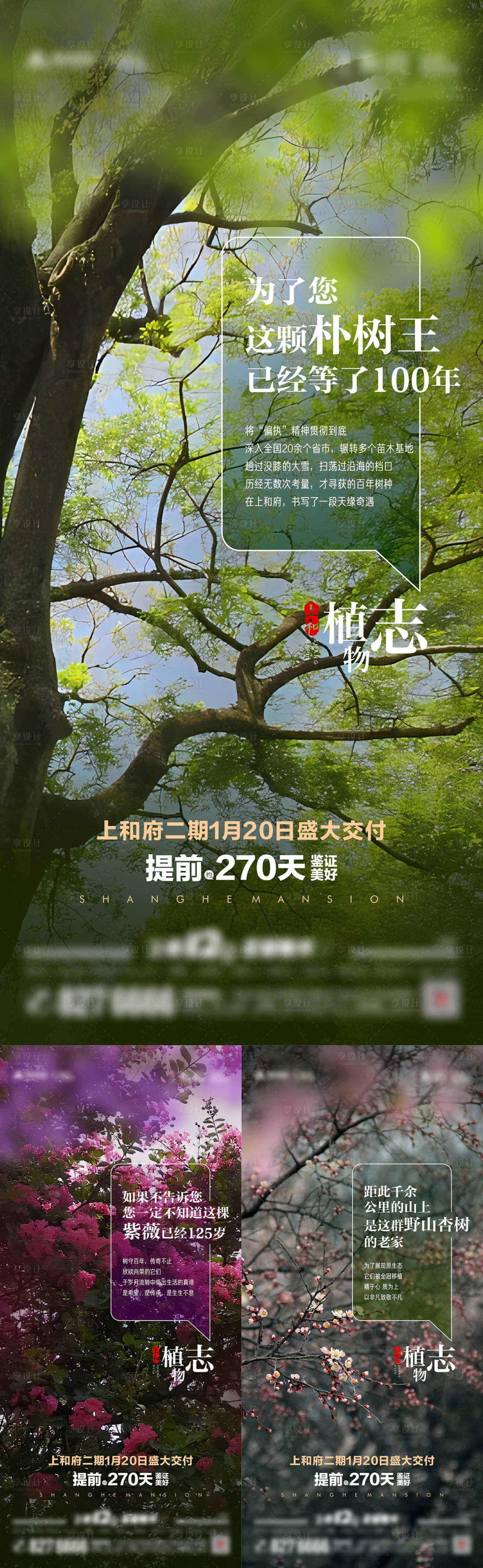 源文件下载【享设计】搜索编号：13990022839663384【植物地产海报】