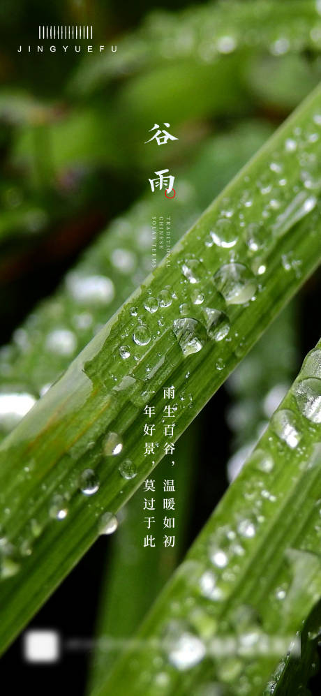 源文件下载【谷雨节气海报】编号：35520022867741709