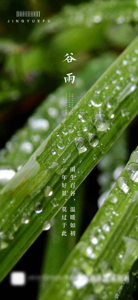 编号：35520022867741709【享设计】源文件下载-谷雨节气海报