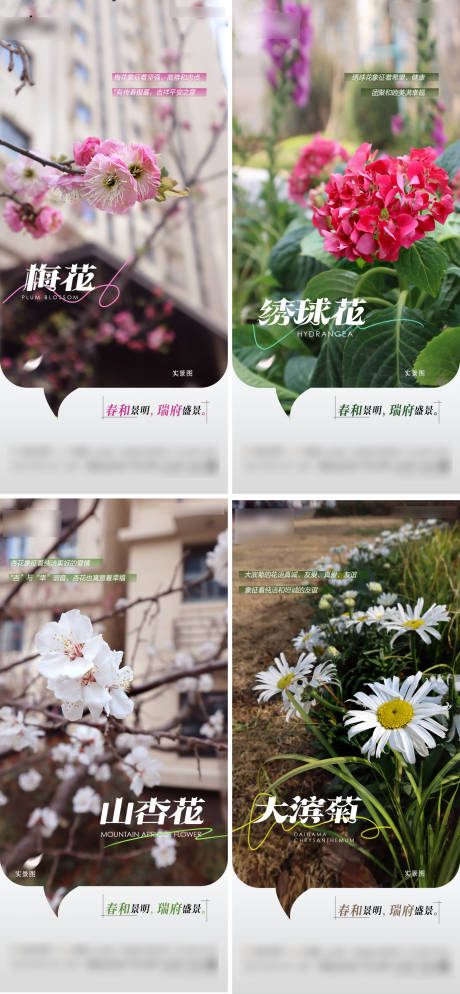 源文件下載【享設(shè)計(jì)】搜索編號：85030022769169334【實(shí)景花卉海報(bào)】