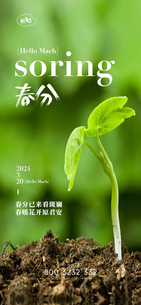 源文件下载【春分节气海报】编号：26610022601901329