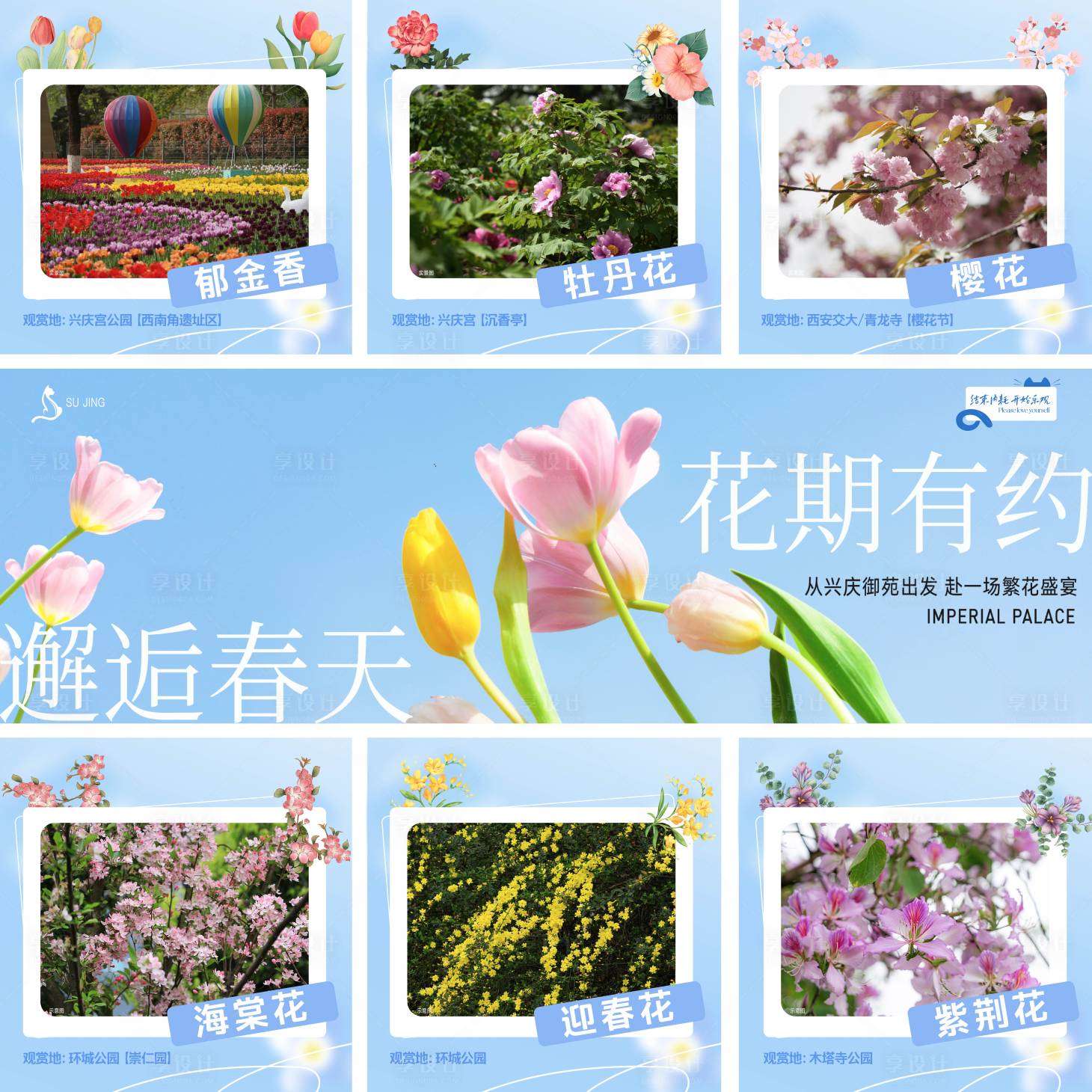 源文件下載【享設計】搜索編號：13860022524948587【九宮格】