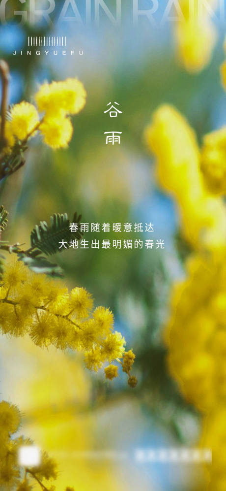 源文件下载【谷雨节气海报】编号：89660022867736391