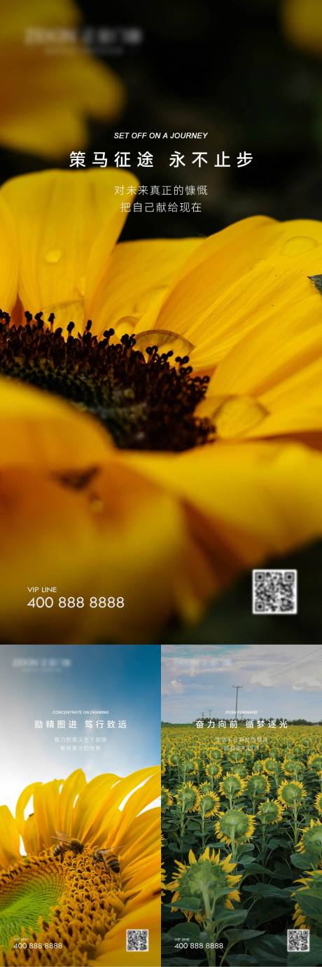 源文件下载【早安风景励志图】编号：53740022663464624