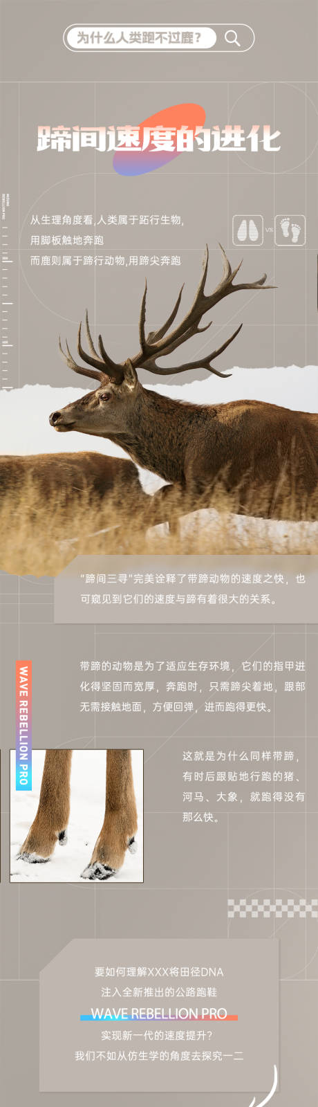 源文件下载【运动鞋运动详情页】编号：79150022580925631