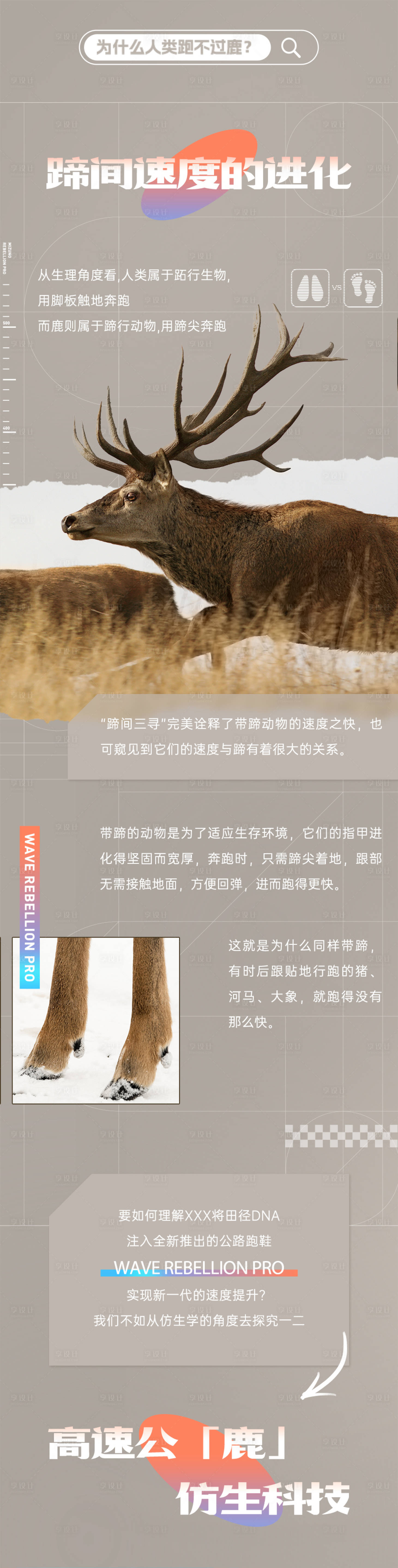 源文件下載【享設(shè)計(jì)】搜索編號(hào)：79150022580925631【運(yùn)動(dòng)鞋運(yùn)動(dòng)詳情頁】
