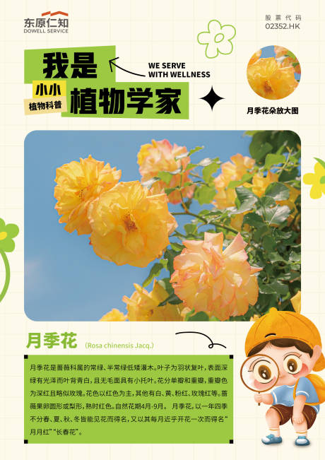 源文件下载【物业植物科普海报】编号：10190022849791752