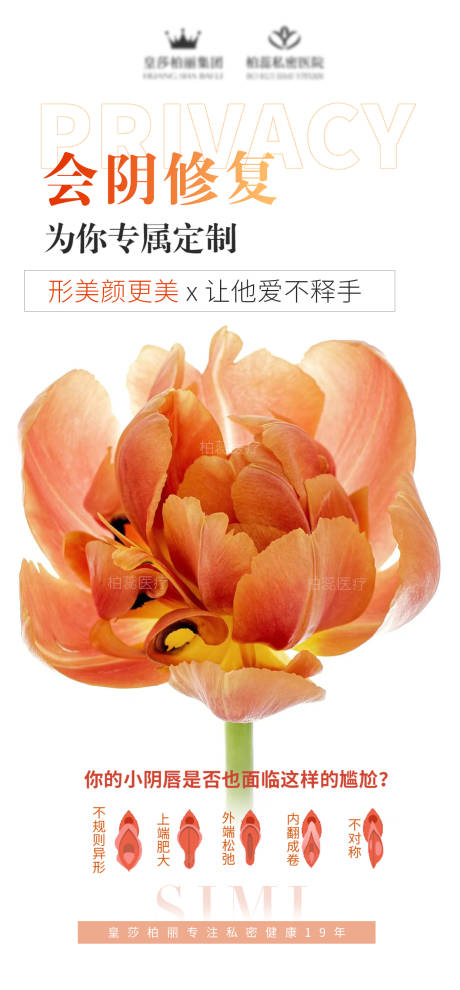 源文件下载【享设计】搜索编号：43410022764978418【私密项目海报】