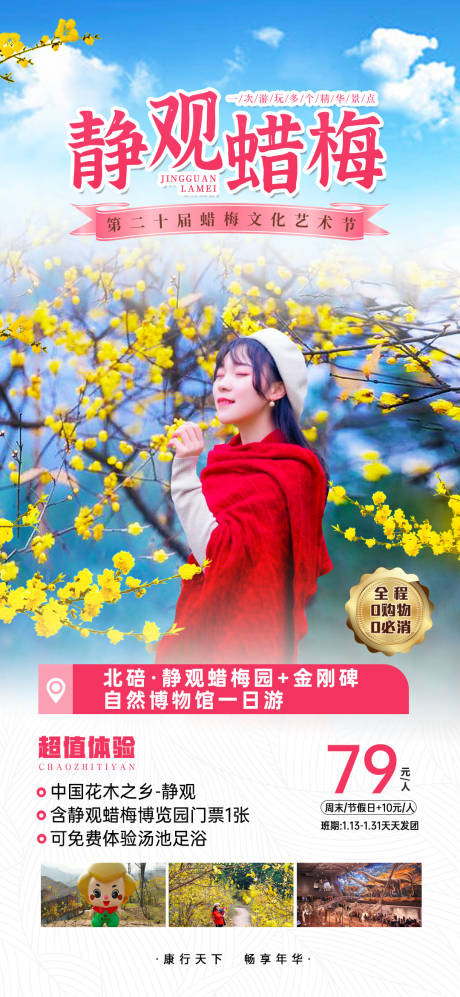 源文件下载【享设计】搜索编号：35390022262935135【腊梅花旅游海报】