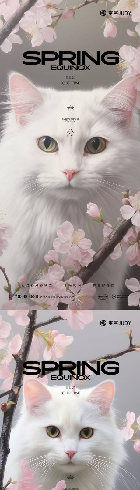 源文件下载【猫的春天】编号：65090022352485101