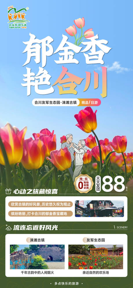 合川郁金香旅游海报