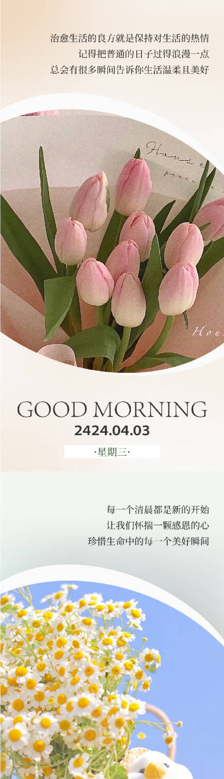 源文件下载【早安 】编号：24590022703339099