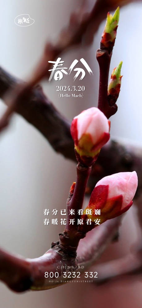 源文件下载【春分节气海报】编号：27080022607041840