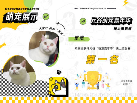 源文件下载【宠物证书海报】编号：87110022651759834