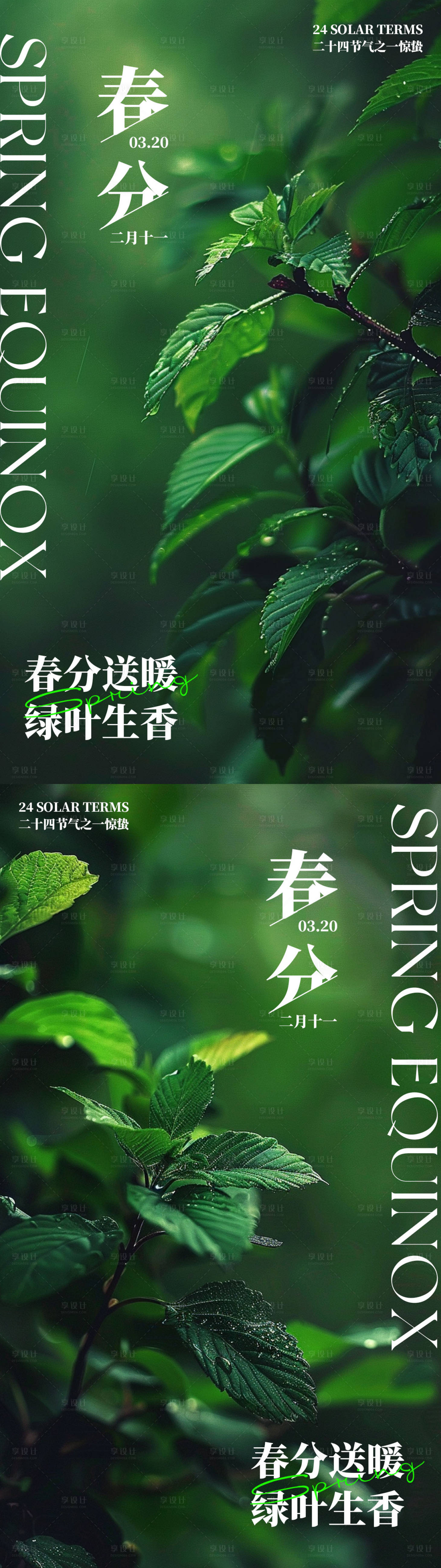 源文件下载【享设计】搜索编号：39760022515503810【春分节气绿叶系列海报】