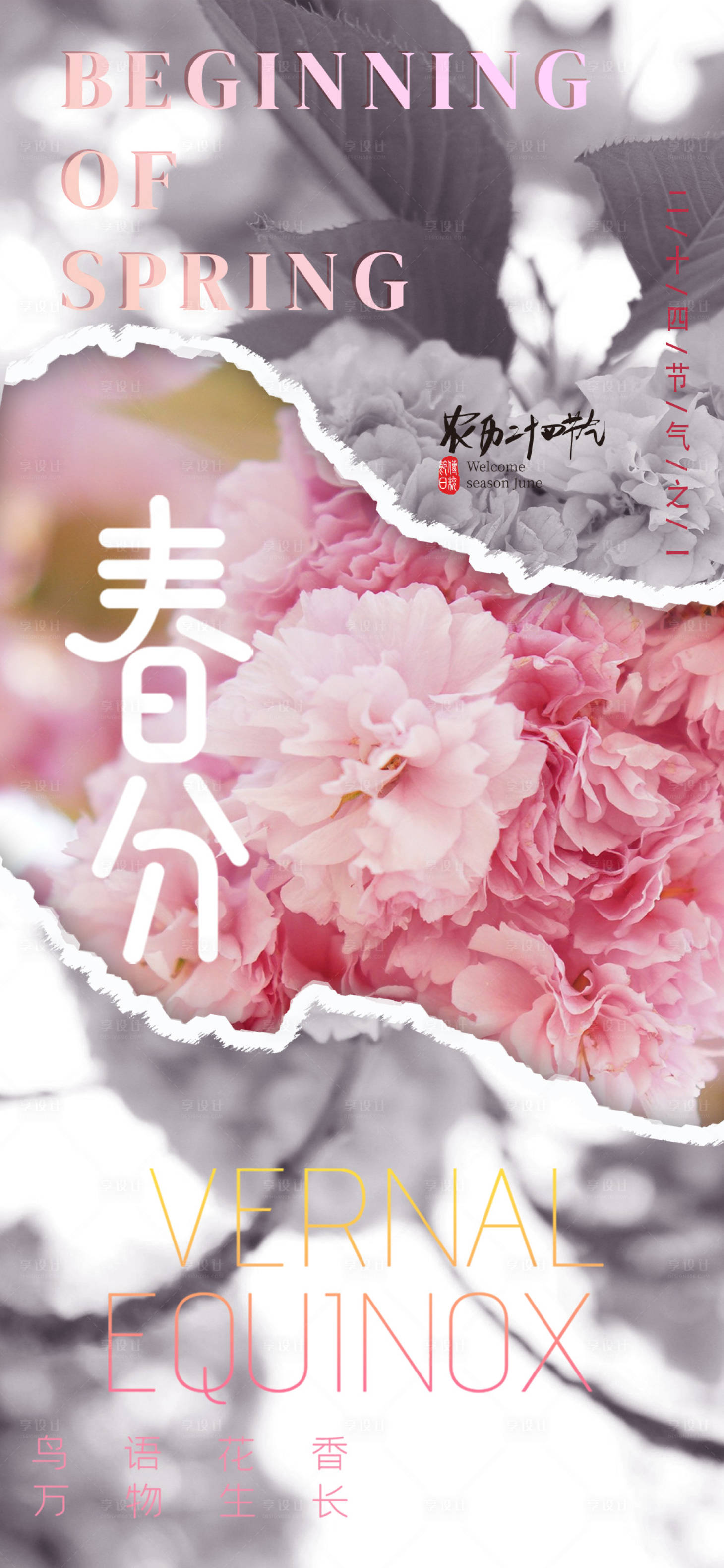 源文件下载【享设计】搜索编号：22060022411236213【春分樱花海报】