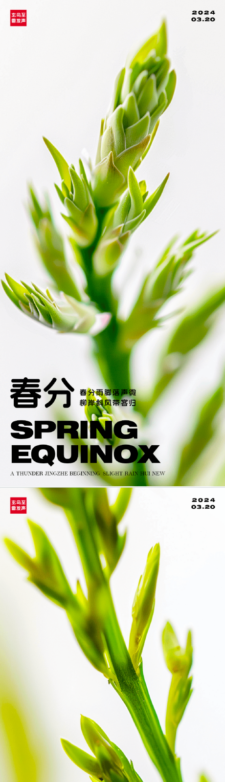 源文件下载【春分海报】编号：30480022480489417