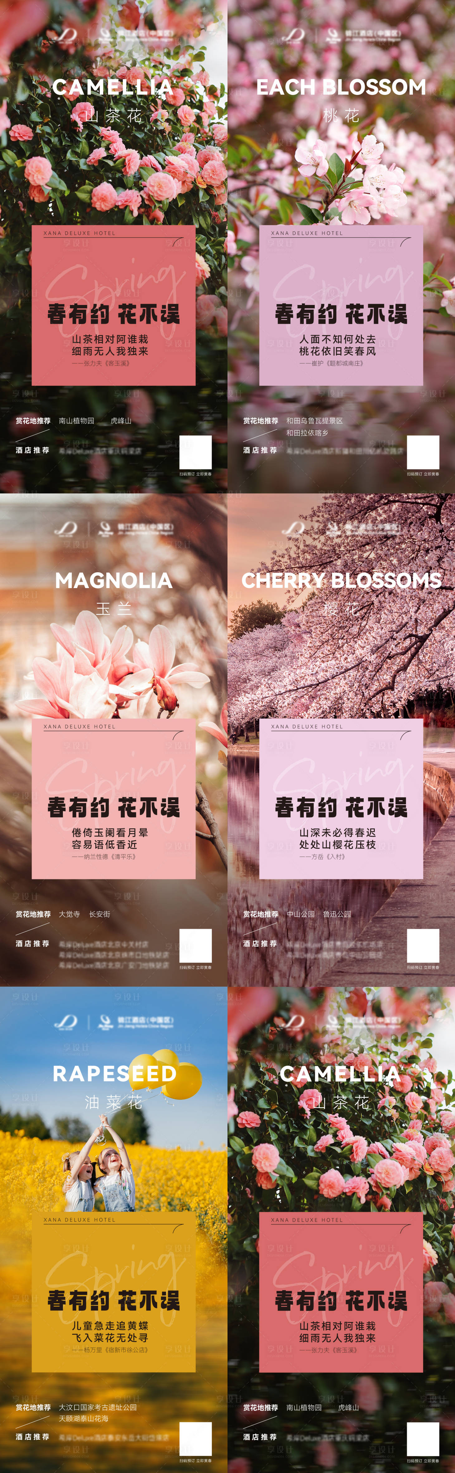 源文件下载【享设计】搜索编号：19420022393042543【植物油赏花指南海报】