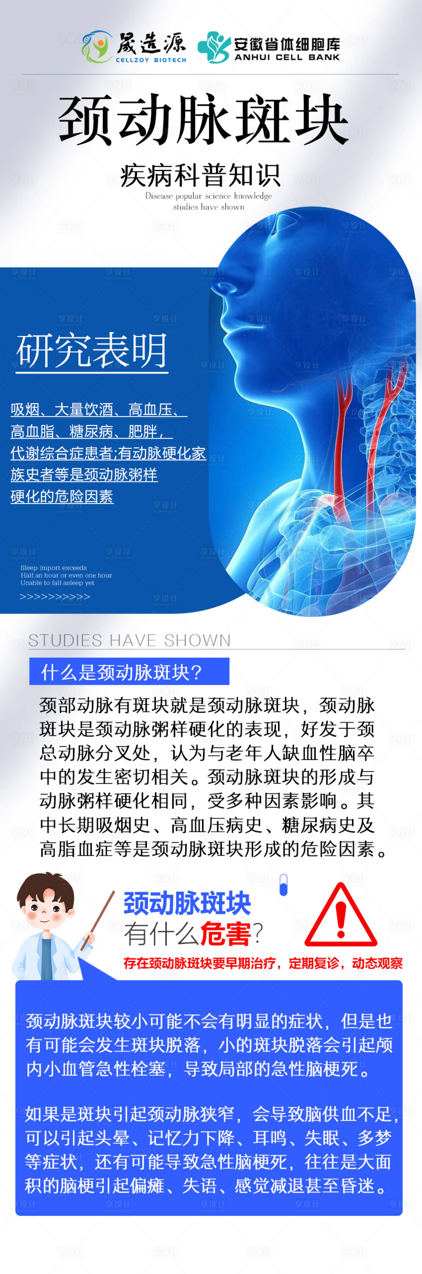 编号：29880022449879471【享设计】源文件下载-颈动脉斑块长图海报