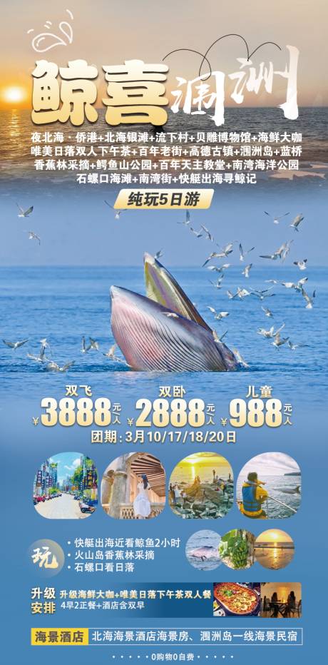 编号：70030022555547910【享设计】源文件下载-涠洲岛寻鲸记旅游海报