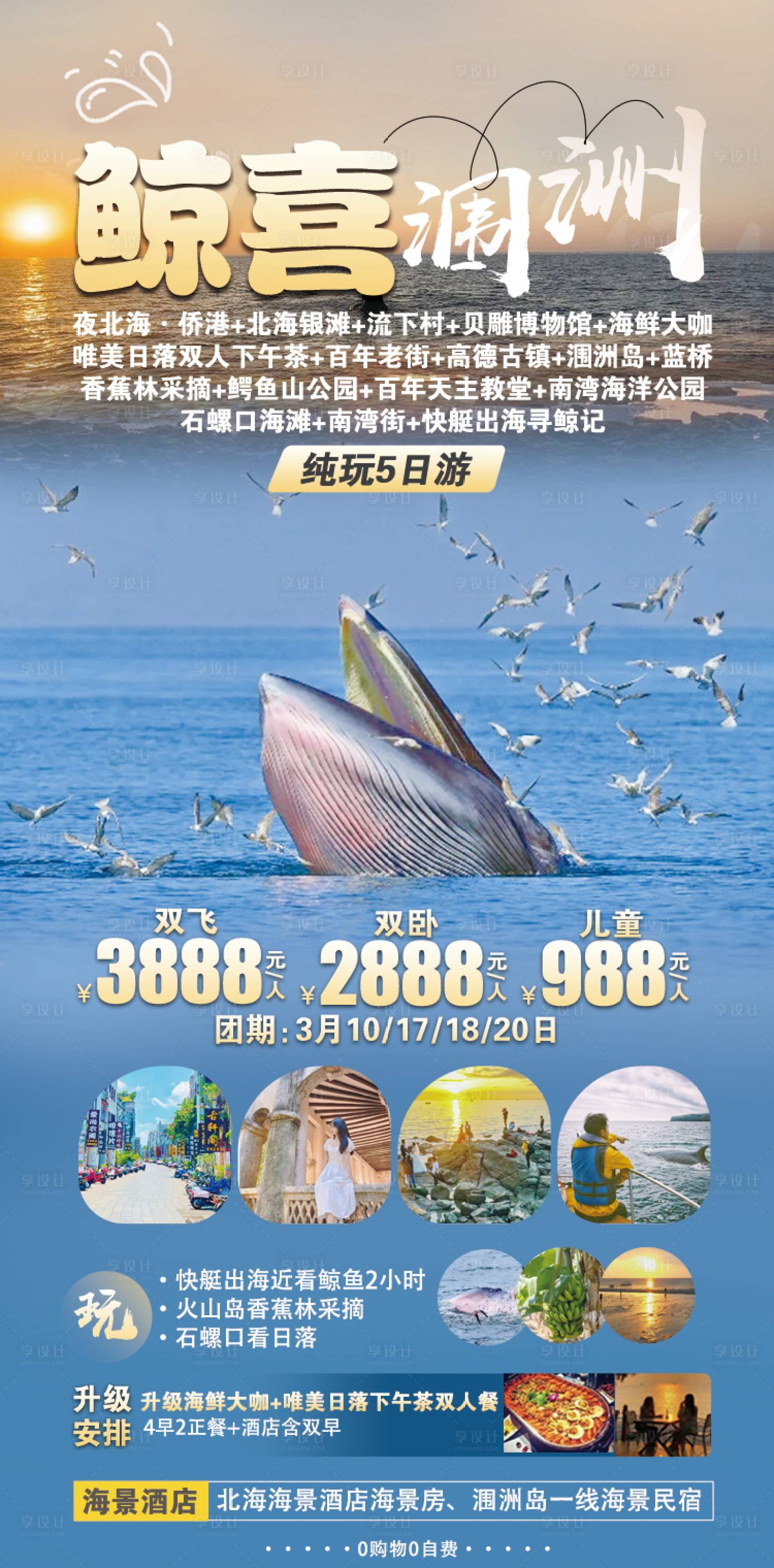 源文件下载【涠洲岛寻鲸记旅游海报】编号：70030022555547910