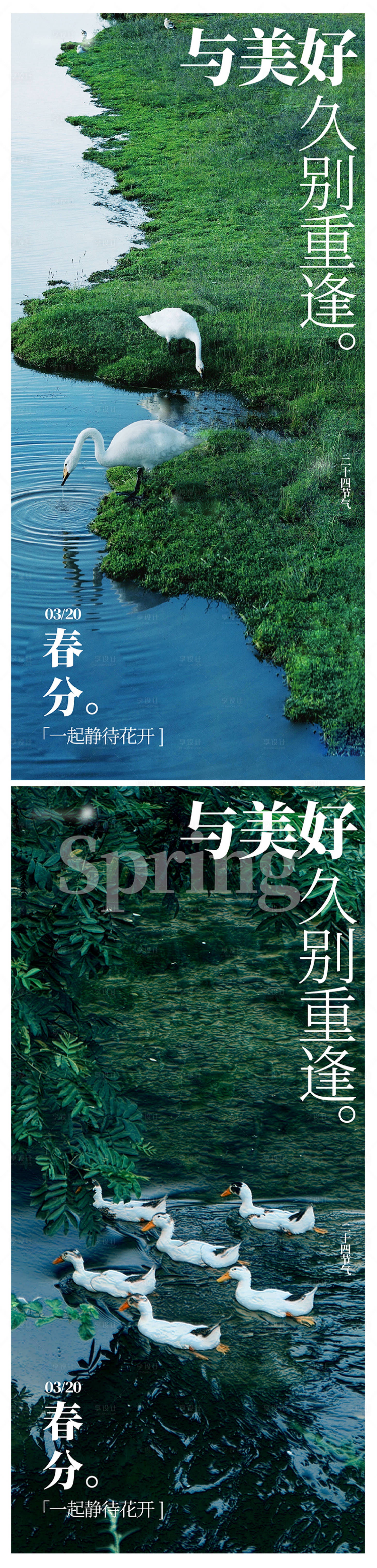 源文件下載【享設計】搜索編號：27750022468502081【春分24節氣系列海報】